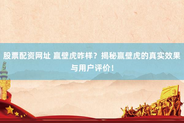 股票配资网址 赢壁虎咋样？揭秘赢壁虎的真实效果与用户评价！