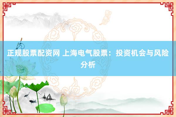 正规股票配资网 上海电气股票：投资机会与风险分析