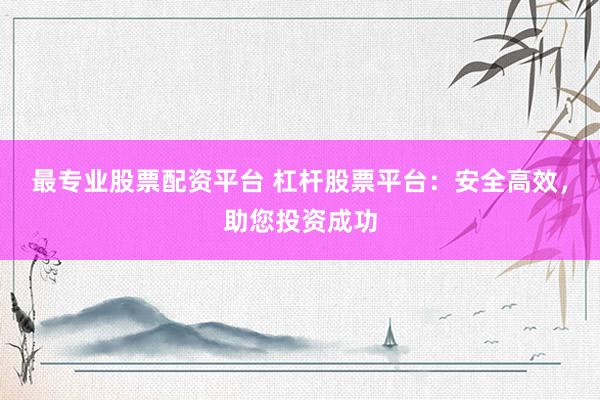 最专业股票配资平台 杠杆股票平台：安全高效，助您投资成功