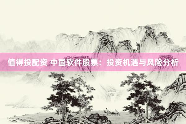 值得投配资 中国软件股票：投资机遇与风险分析